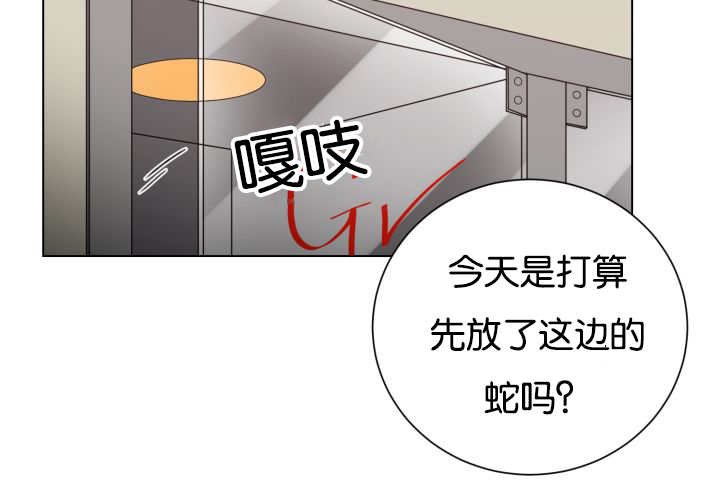 第42章：来温暖你