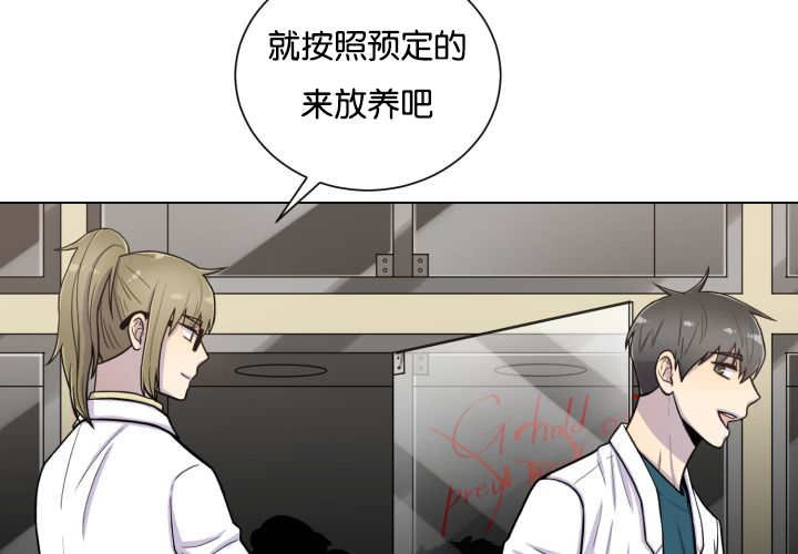 第42章：来温暖你