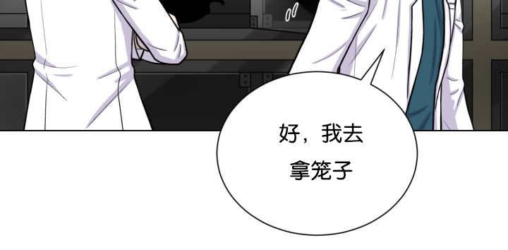 第42章：来温暖你
