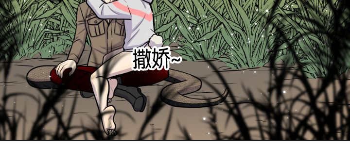 第43章：寂静之下