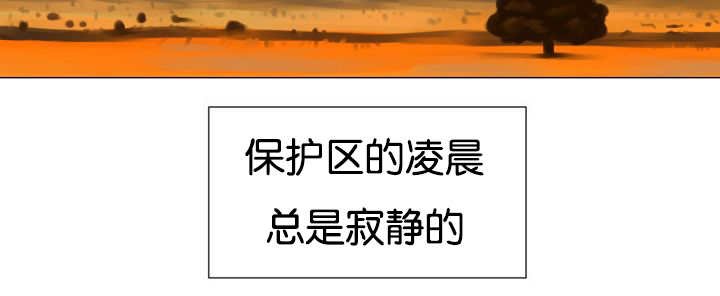 第43章：寂静之下