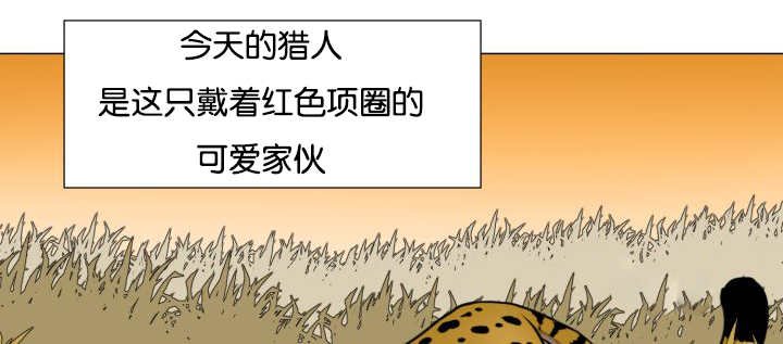 第43章：寂静之下