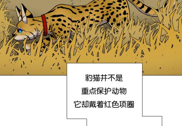 第43章：寂静之下