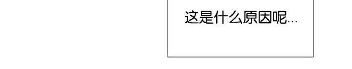 第43章：寂静之下