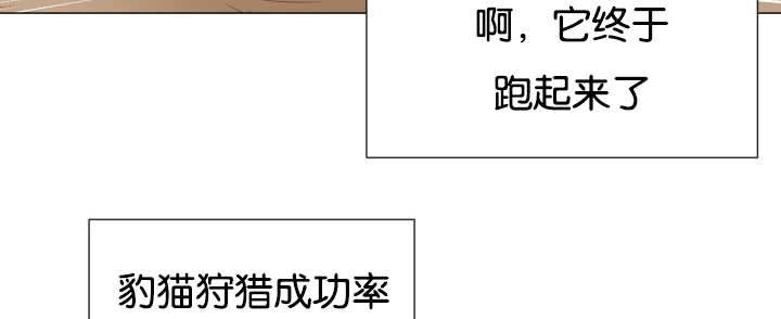 第43章：寂静之下