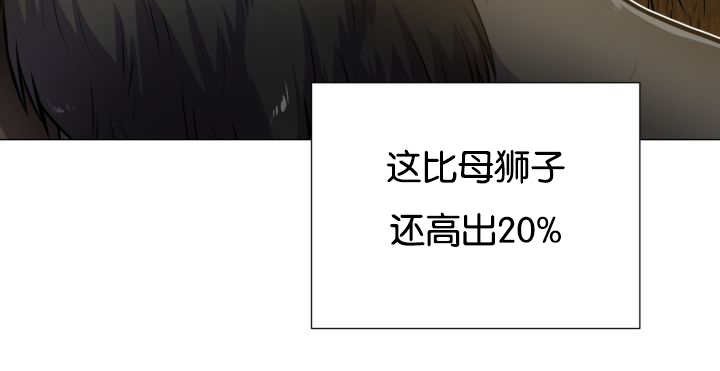 第43章：寂静之下