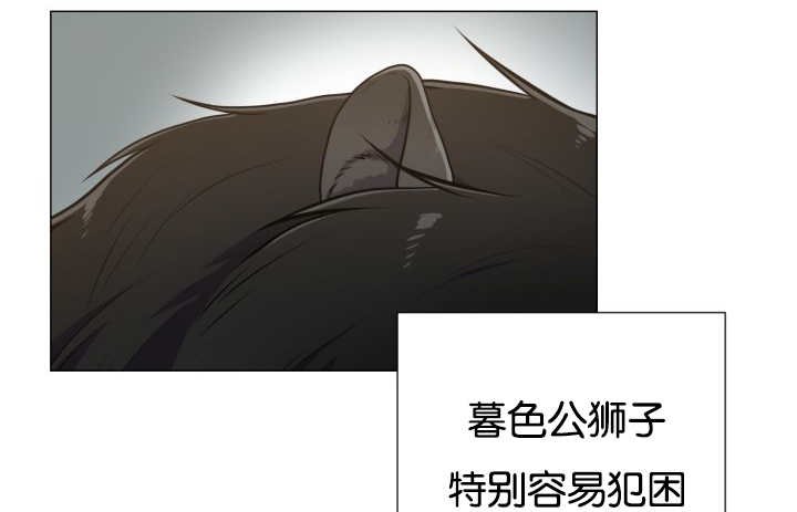 第44章：现在去哪