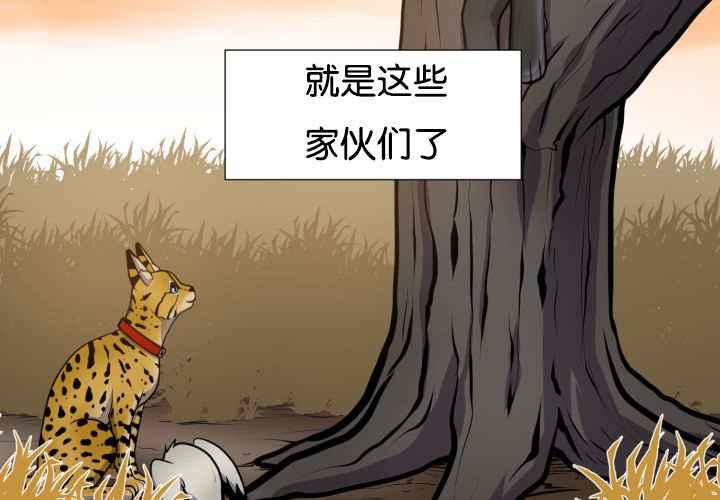 第44章：现在去哪