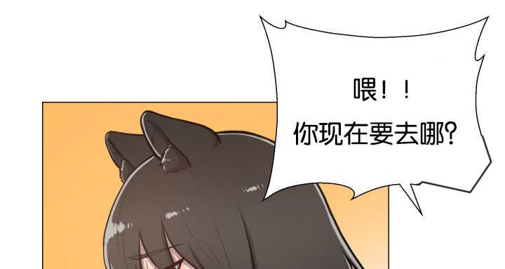 第44章：现在去哪