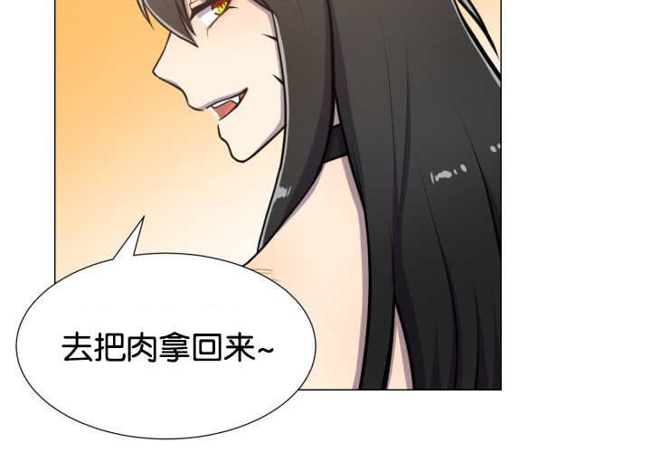 第44章：现在去哪