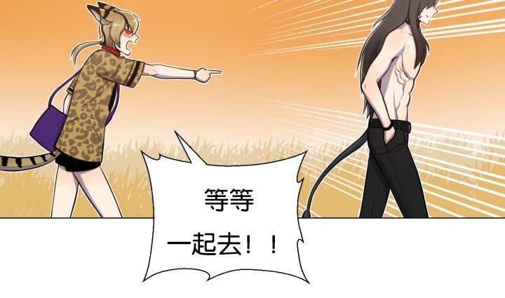 第44章：现在去哪