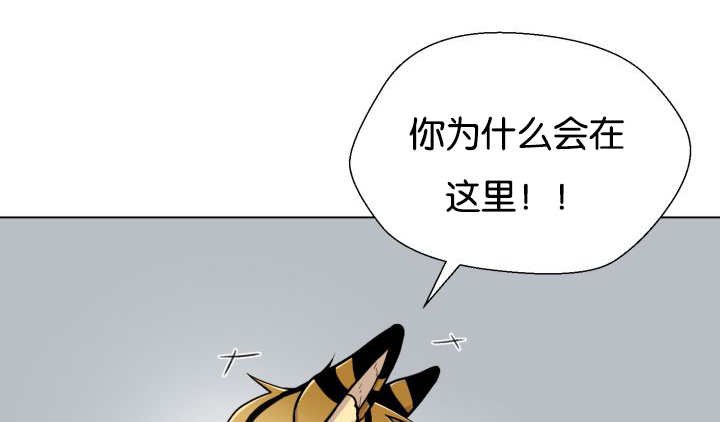 第45章：再摇一下