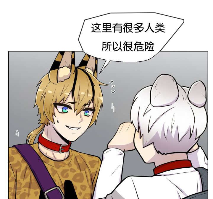 第46章：别耍花招