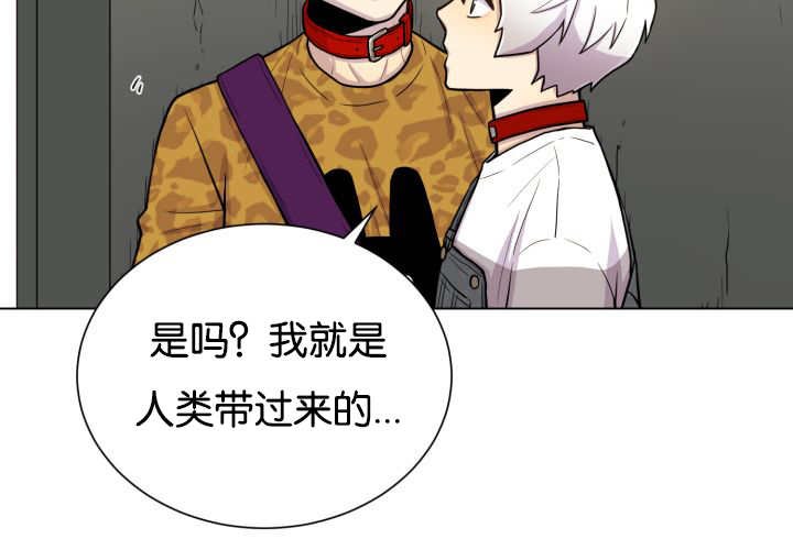 第46章：别耍花招