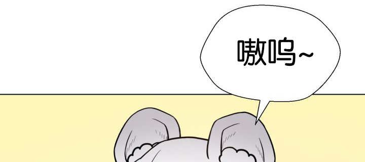 第46章：别耍花招