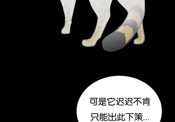 第48章：失去犬牙