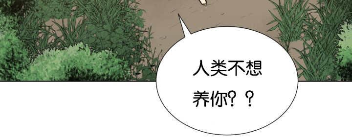 第48章：失去犬牙