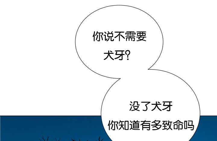 第48章：失去犬牙
