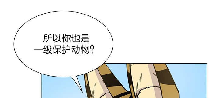 第5章：那天失控