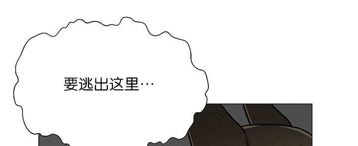 第5章：那天失控