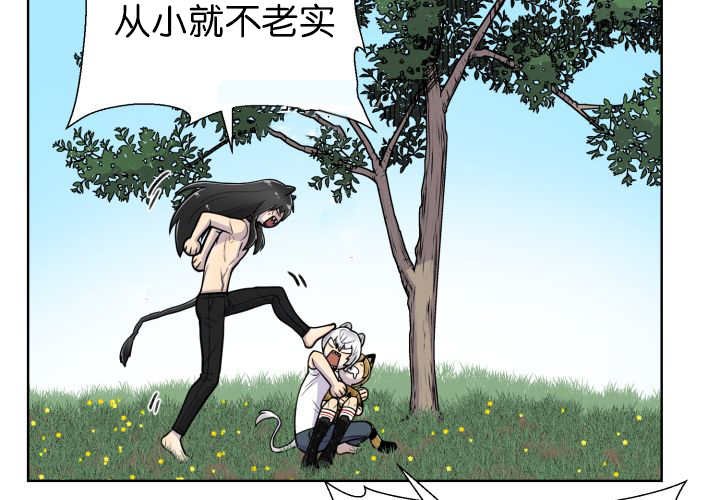 第51章：去领食物