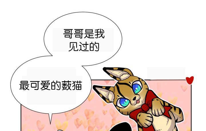 第52章：我警告你