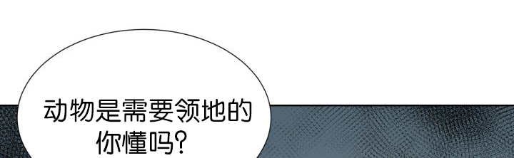 第52章：我警告你