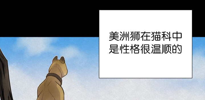 第53章：确认领地