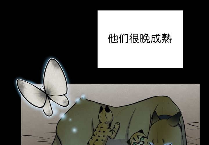 第53章：确认领地