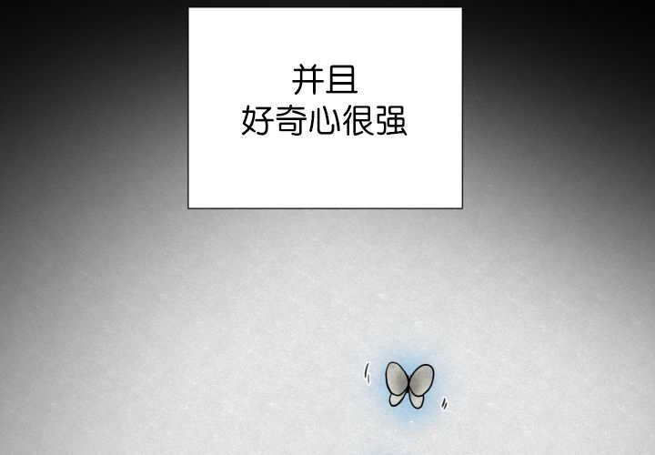 第53章：确认领地