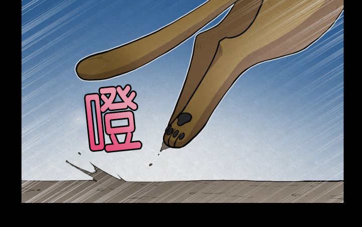 第53章：确认领地
