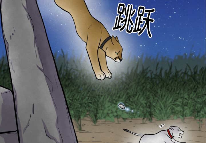 第53章：确认领地