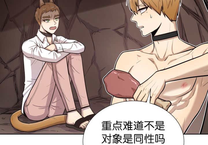 第53章：确认领地