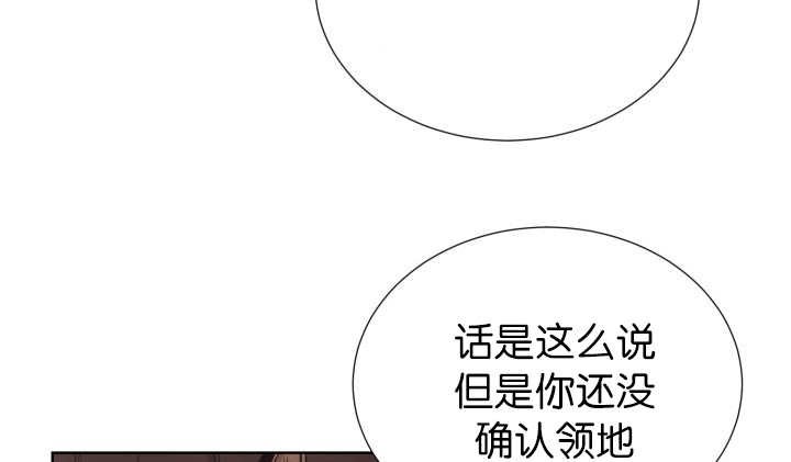 第53章：确认领地