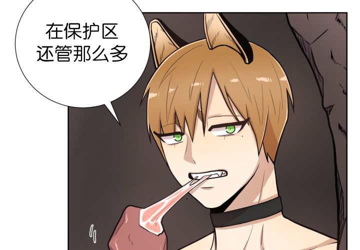 第53章：确认领地