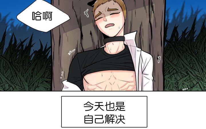 第53章：确认领地