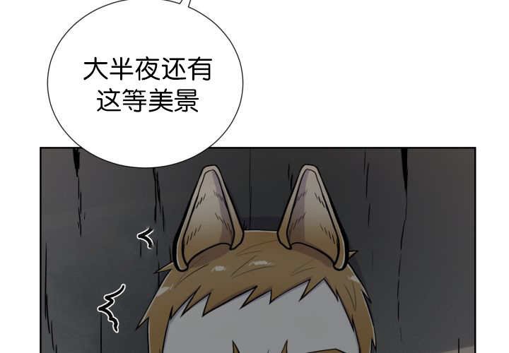 第53章：确认领地