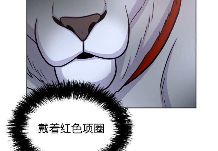 第54章：不难受吗