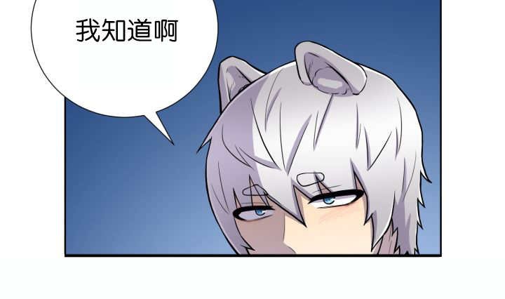 第55章：会坏掉的