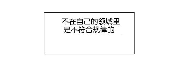 第56章：只有这个