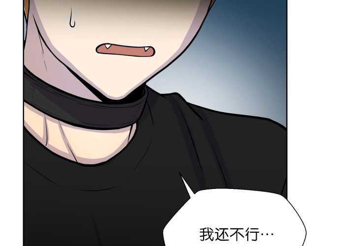 第56章：只有这个