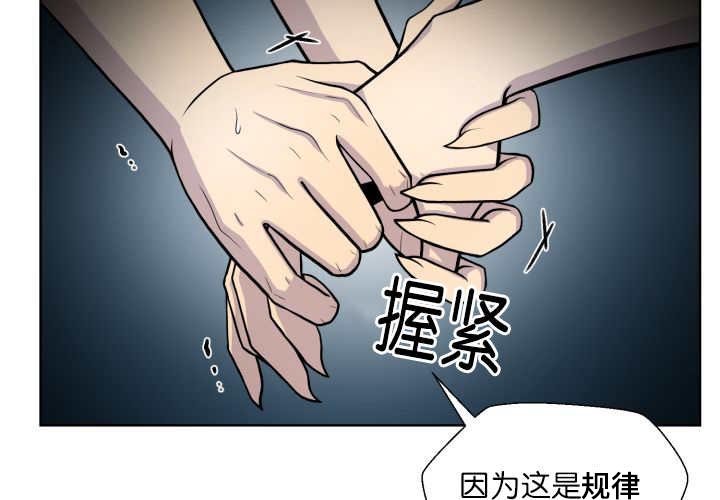 第56章：只有这个