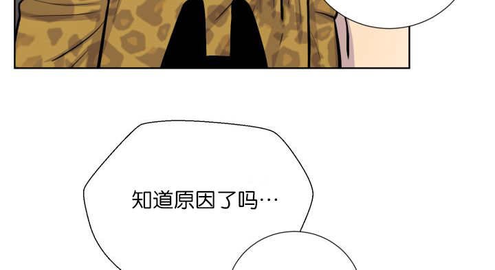 第57章：见不到了