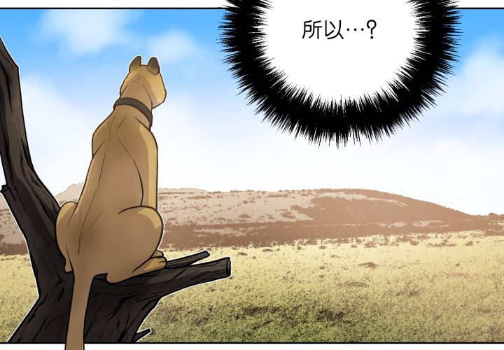 第58章：什么意义