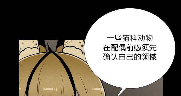 第58章：什么意义
