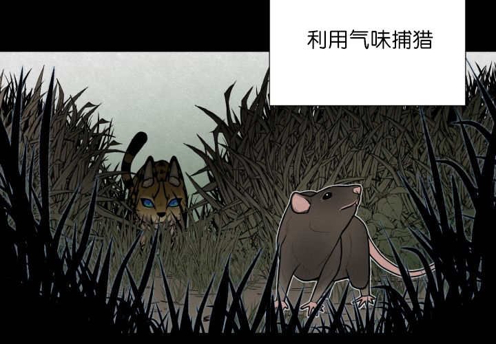 第58章：什么意义