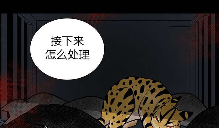 第6章：生出宝宝