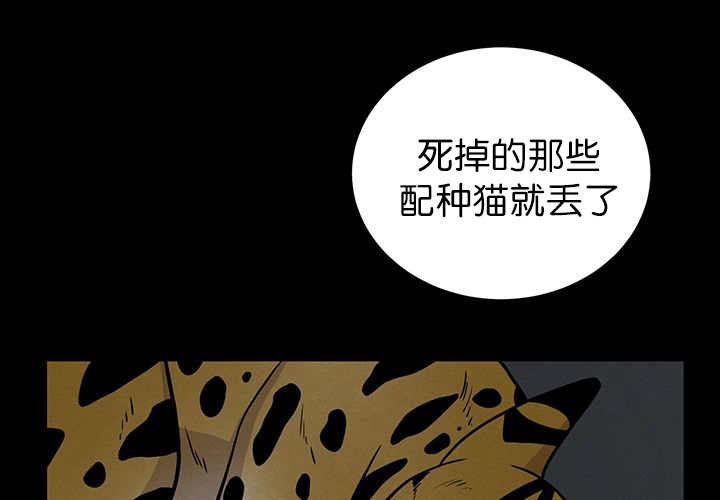 第6章：生出宝宝