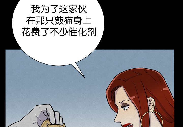 第6章：生出宝宝
