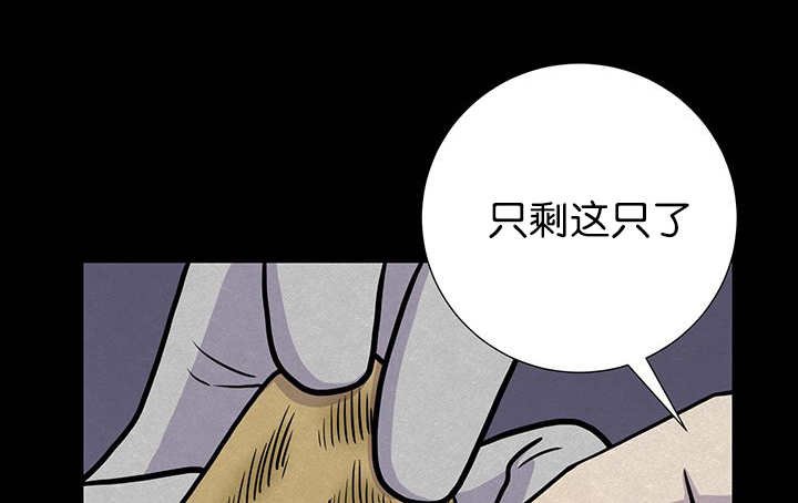 第6章：生出宝宝